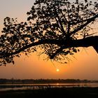 Abendstimmung am See von Tengrela / Burkina Faso