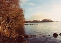 Abendstimmung am Shannon