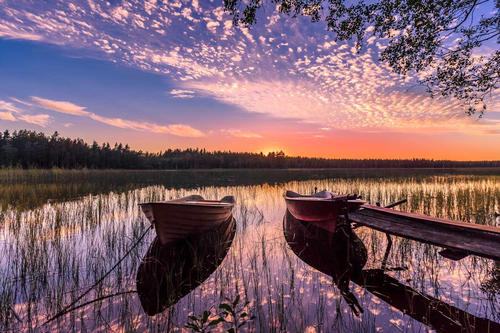 Abendstimmung am SkogshyltasjönSmalandSchweden Foto & Bild sunset