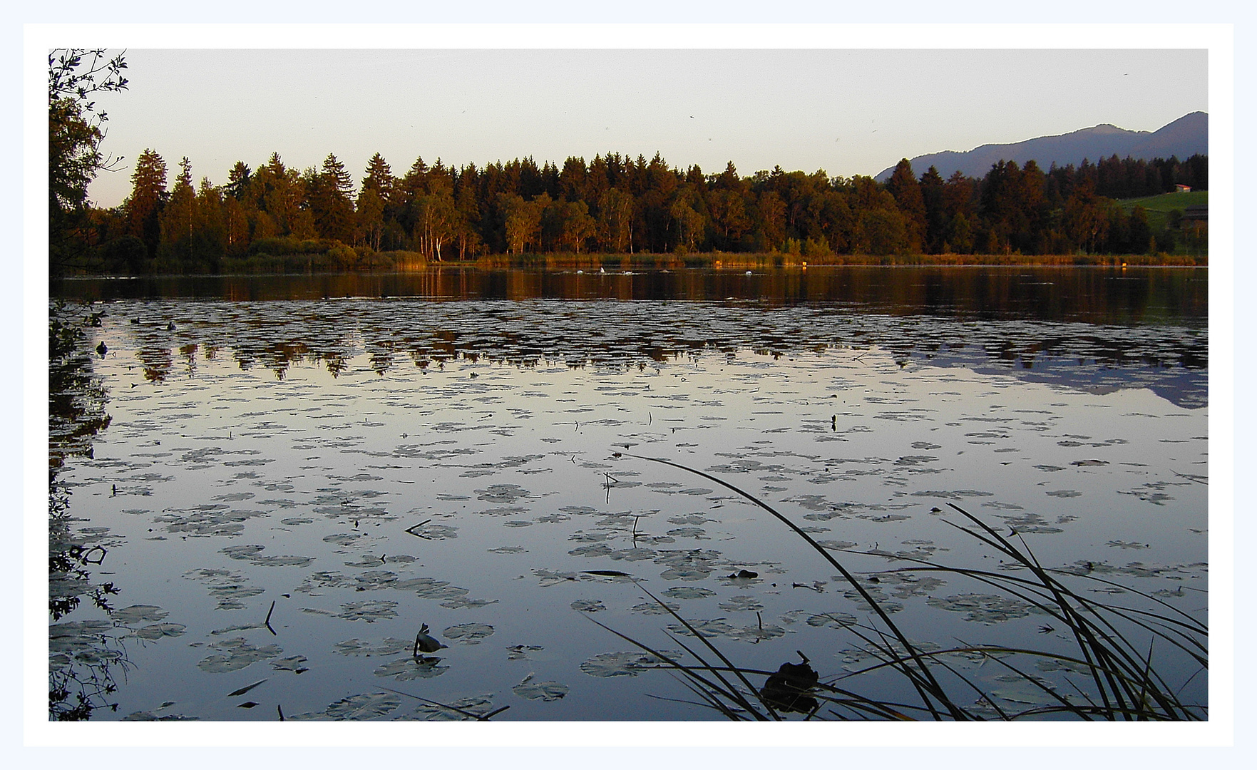 Abendstimmung am Soier See