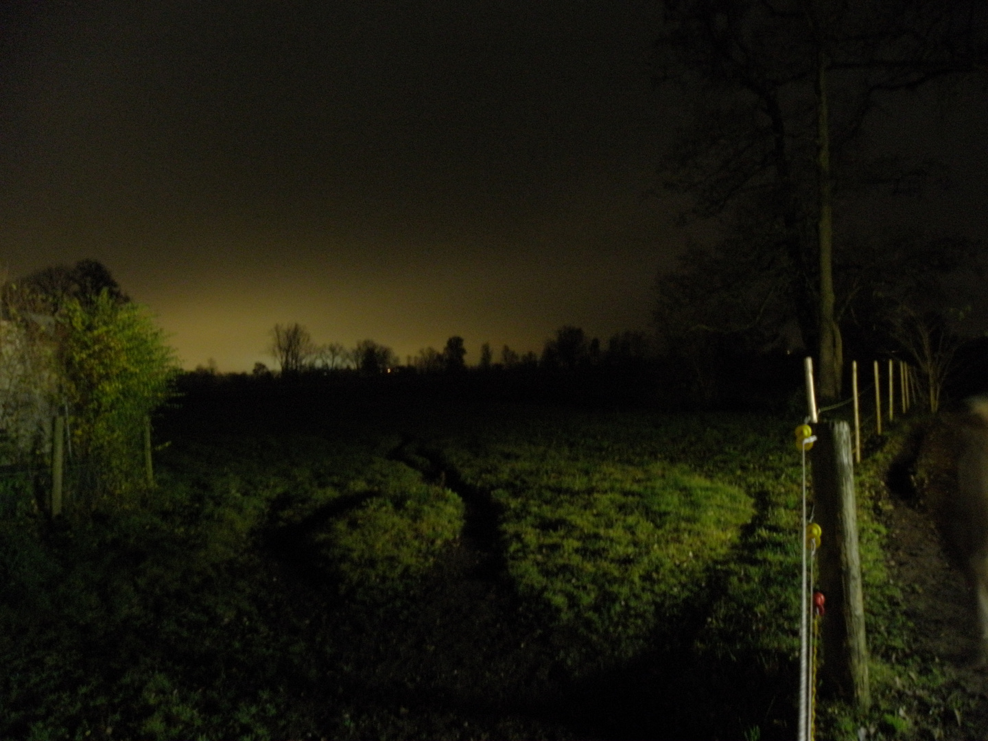 Abendstimmung am Stall