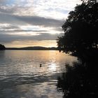 Abendstimmung am Stanrnbergersee