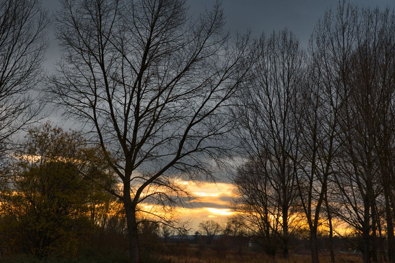 Abendstimmung am Stausee Friemar