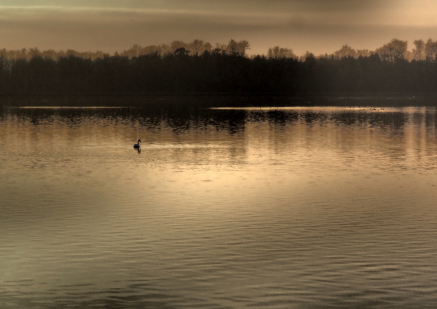 Abendstimmung am Stausee im Dezember!