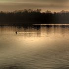 Abendstimmung am Stausee im Dezember!