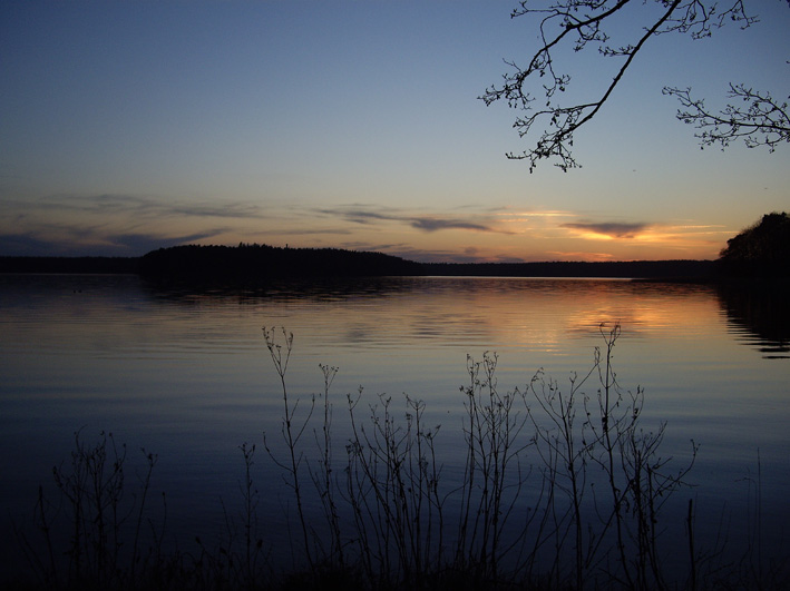 Abendstimmung am Stechlinsee