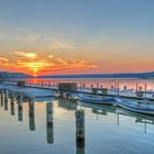 Abendstimmung am Stechlinsee