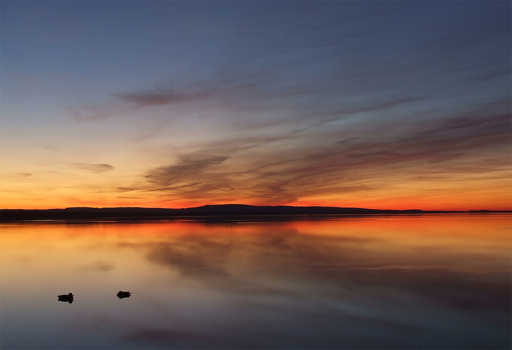 Abendstimmung am Steinhuder Meer (3)