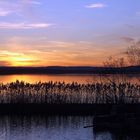 Abendstimmung am Steinhuder Meer