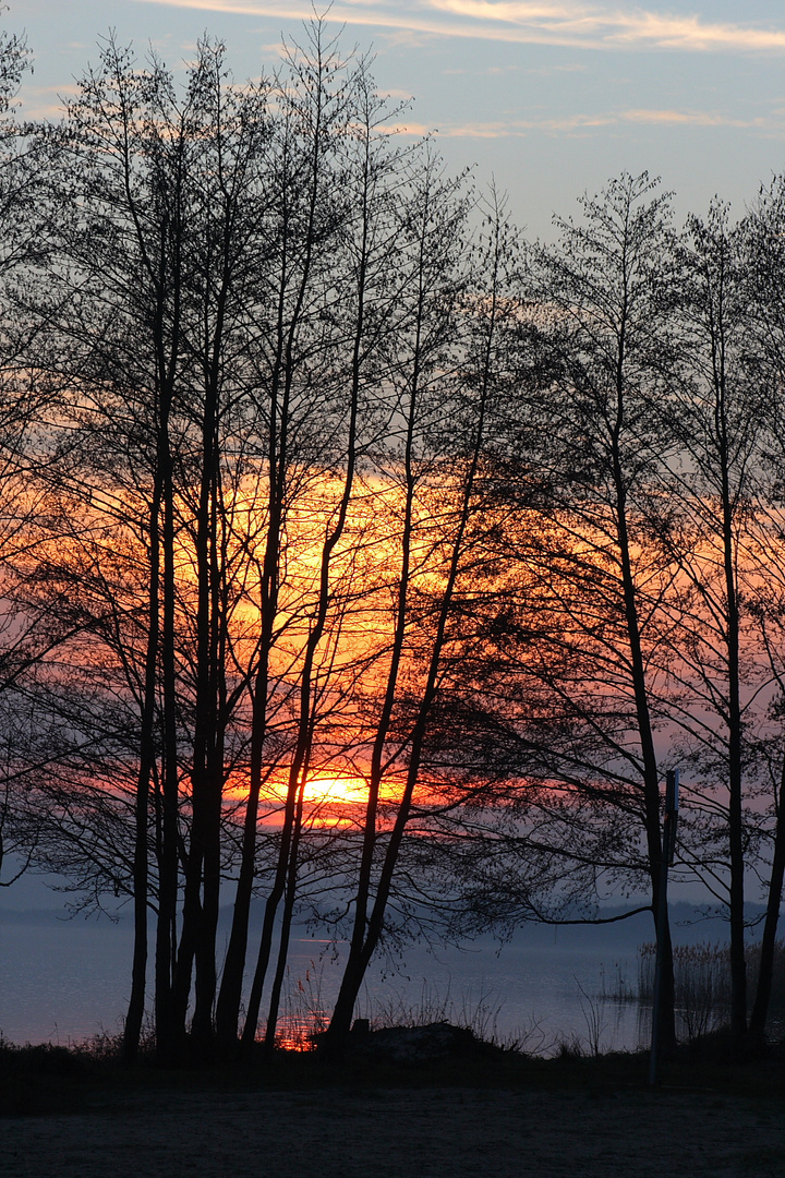 Abendstimmung am Steinhuder Meer