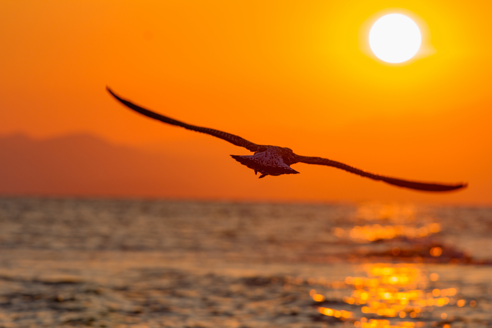 Abendstimmung am Strand