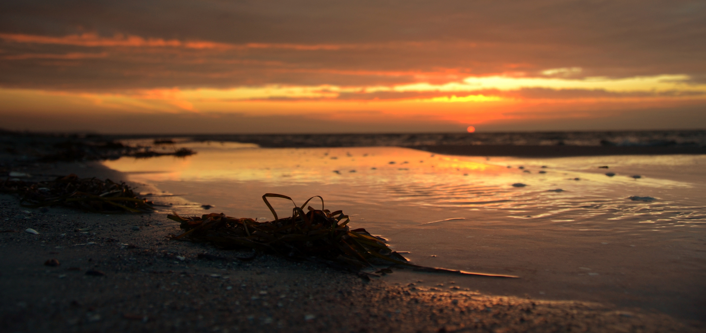 Abendstimmung am Strand .25.11.2012