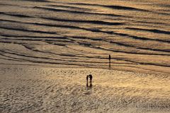 Abendstimmung am Strand