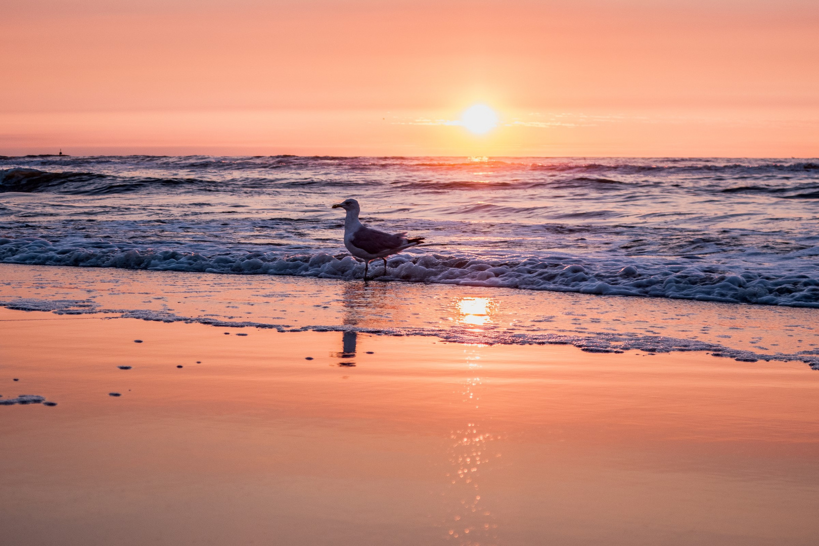 "Abendstimmung am Strand"