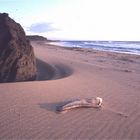 Abendstimmung am Strand