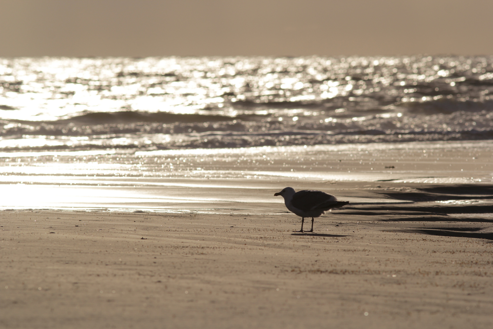 Abendstimmung am Strand