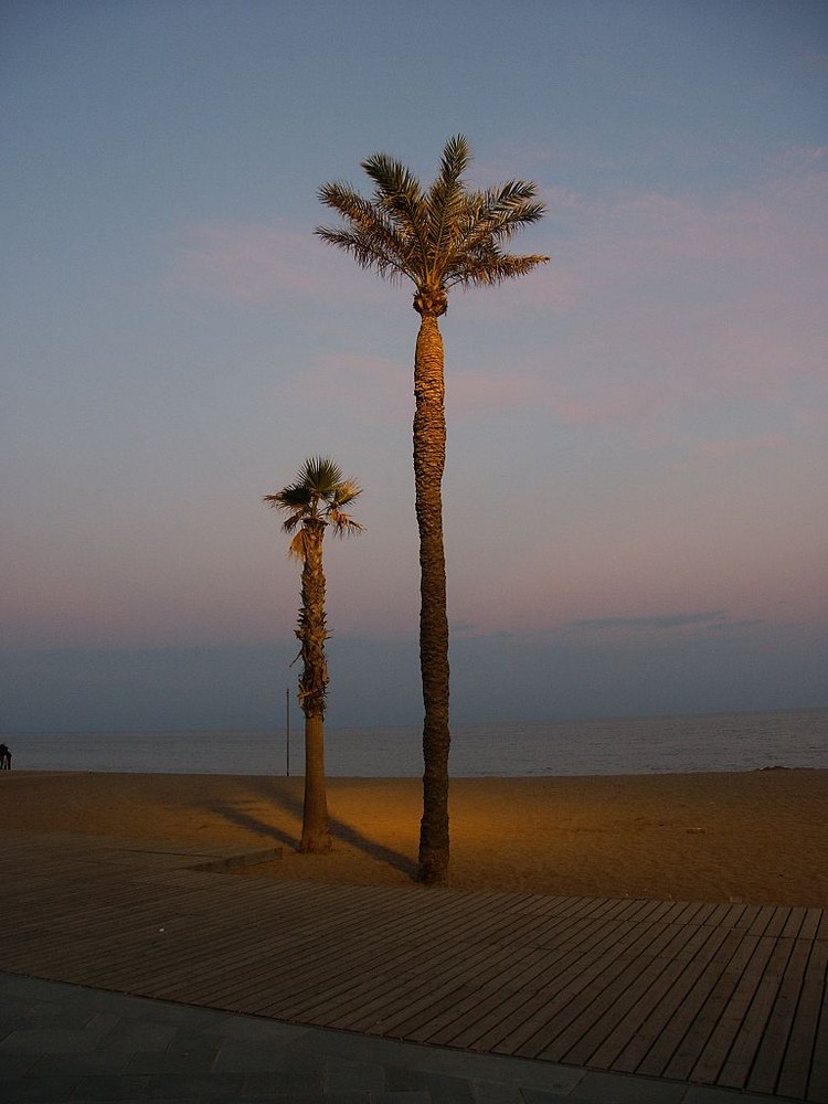 Abendstimmung am Strand