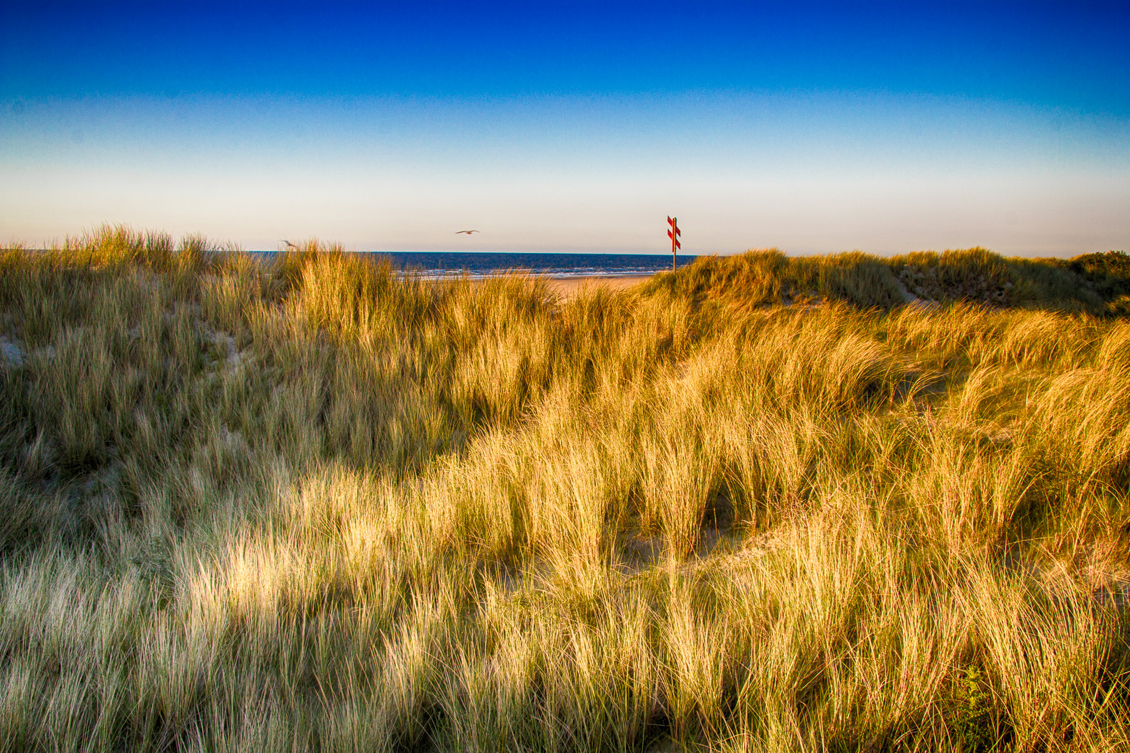 Abendstimmung am Strand von Juist