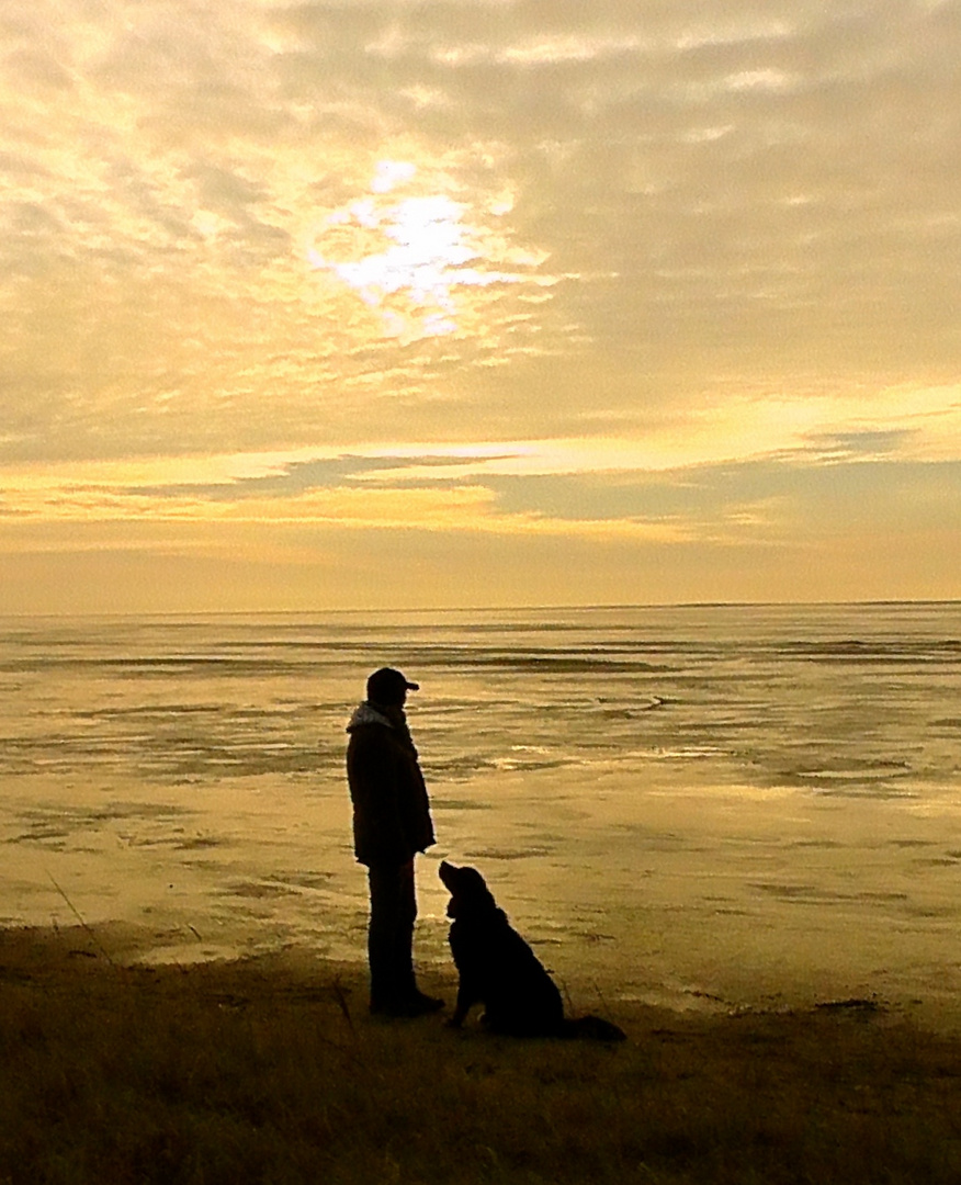 Abendstimmung am Strand von Römö in Dänemark - Januar 2015