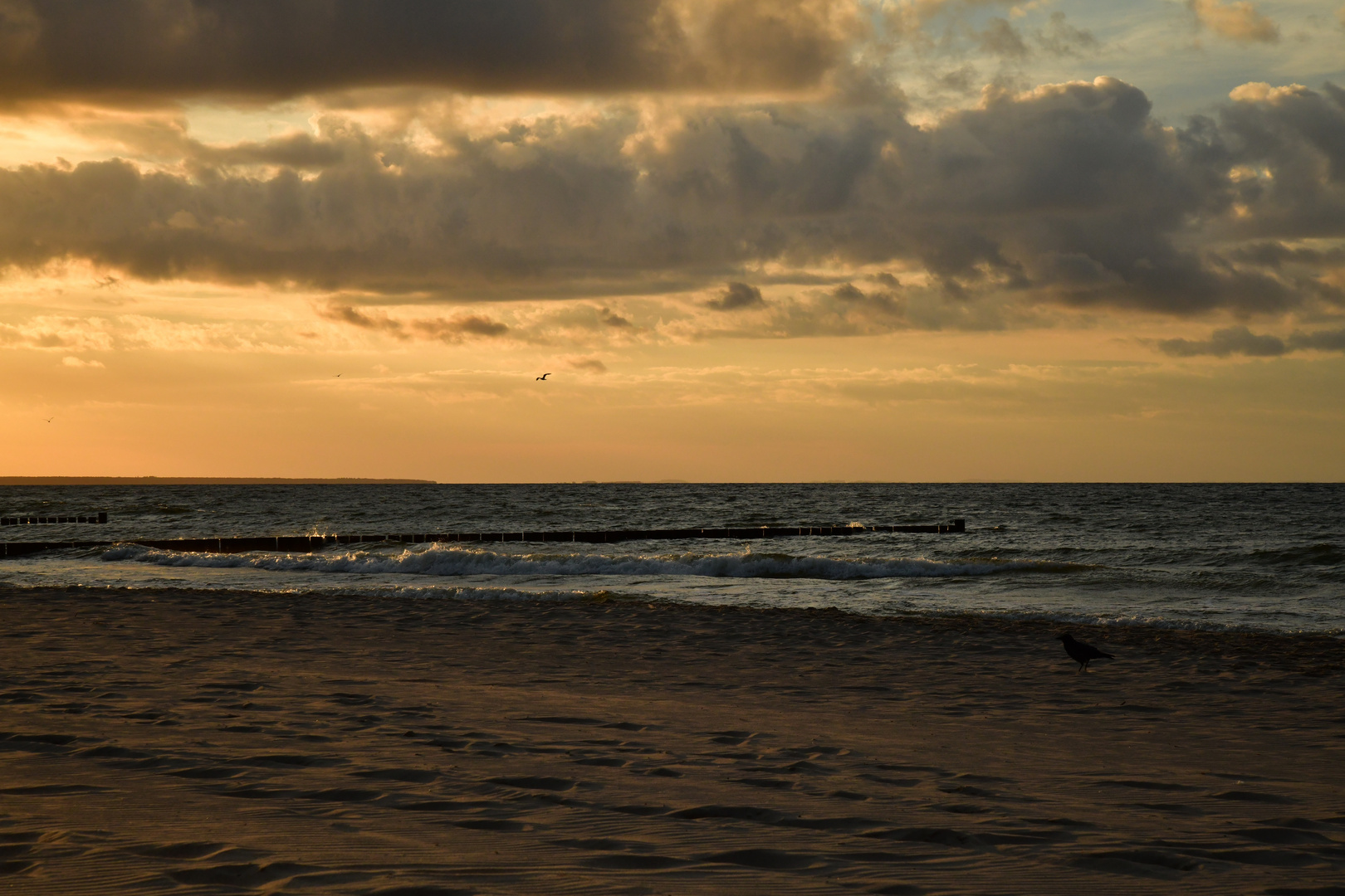 Abendstimmung am Strand von Zempin