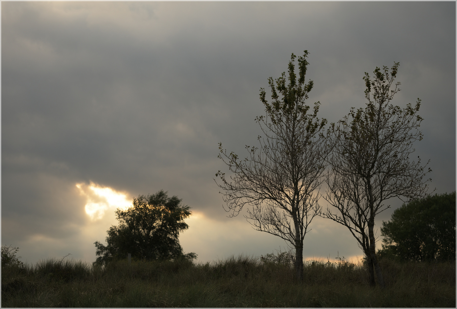 Abendstimmung am Strandwall