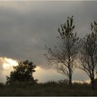 Abendstimmung am Strandwall