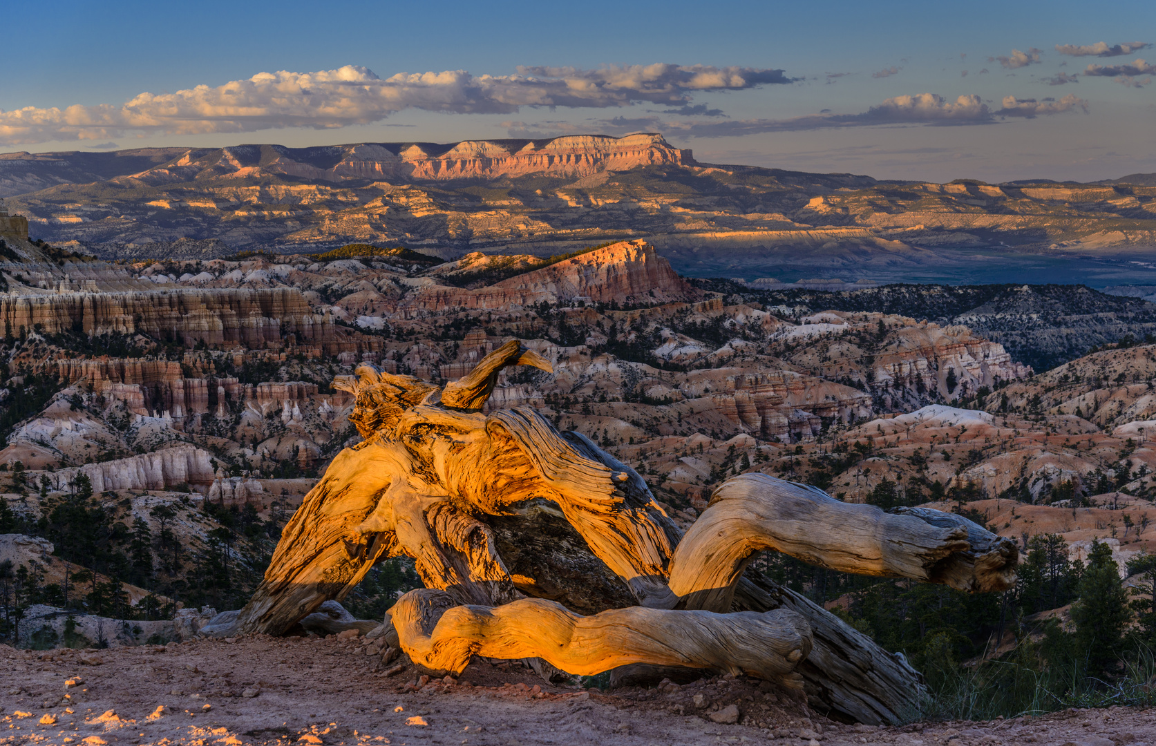 Abendstimmung am Sunrise Point, Bryce Canyon NP, Utah, USA