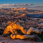 Abendstimmung am Sunrise Point, Bryce Canyon NP, Utah, USA