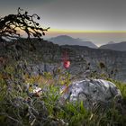 Abendstimmung am Tafelberg