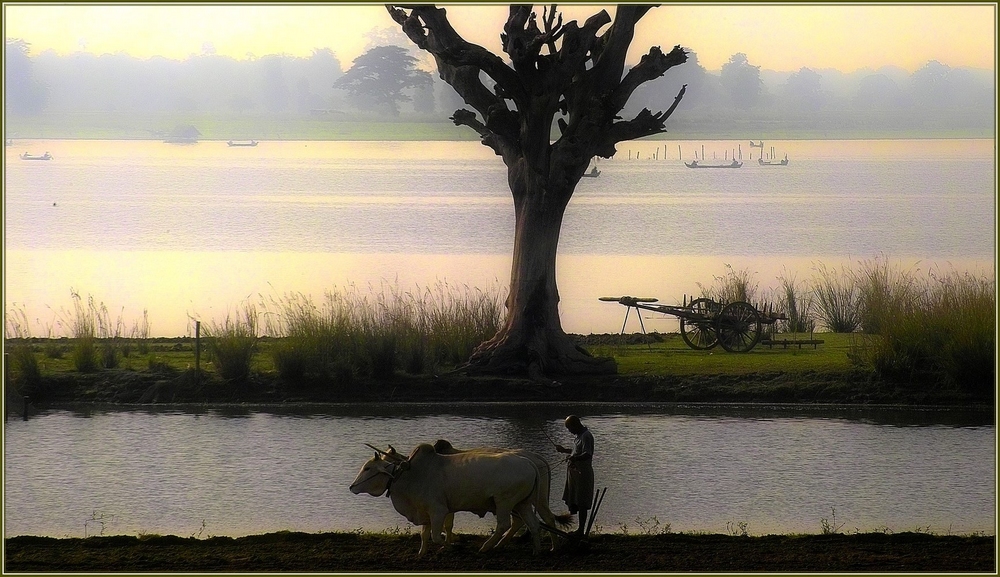 Abendstimmung am Taungthaman - See - Myanmar (Burma)