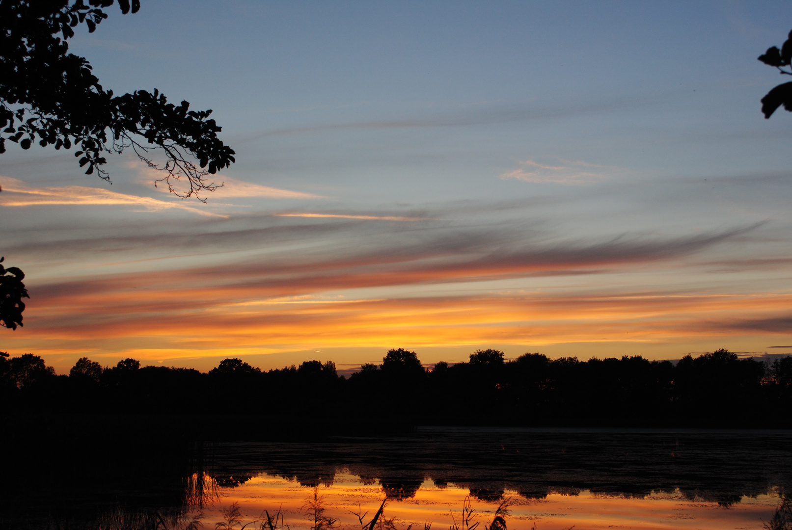 Abendstimmung am Teich