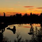 Abendstimmung am Teich