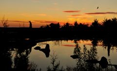 Abendstimmung am Teich