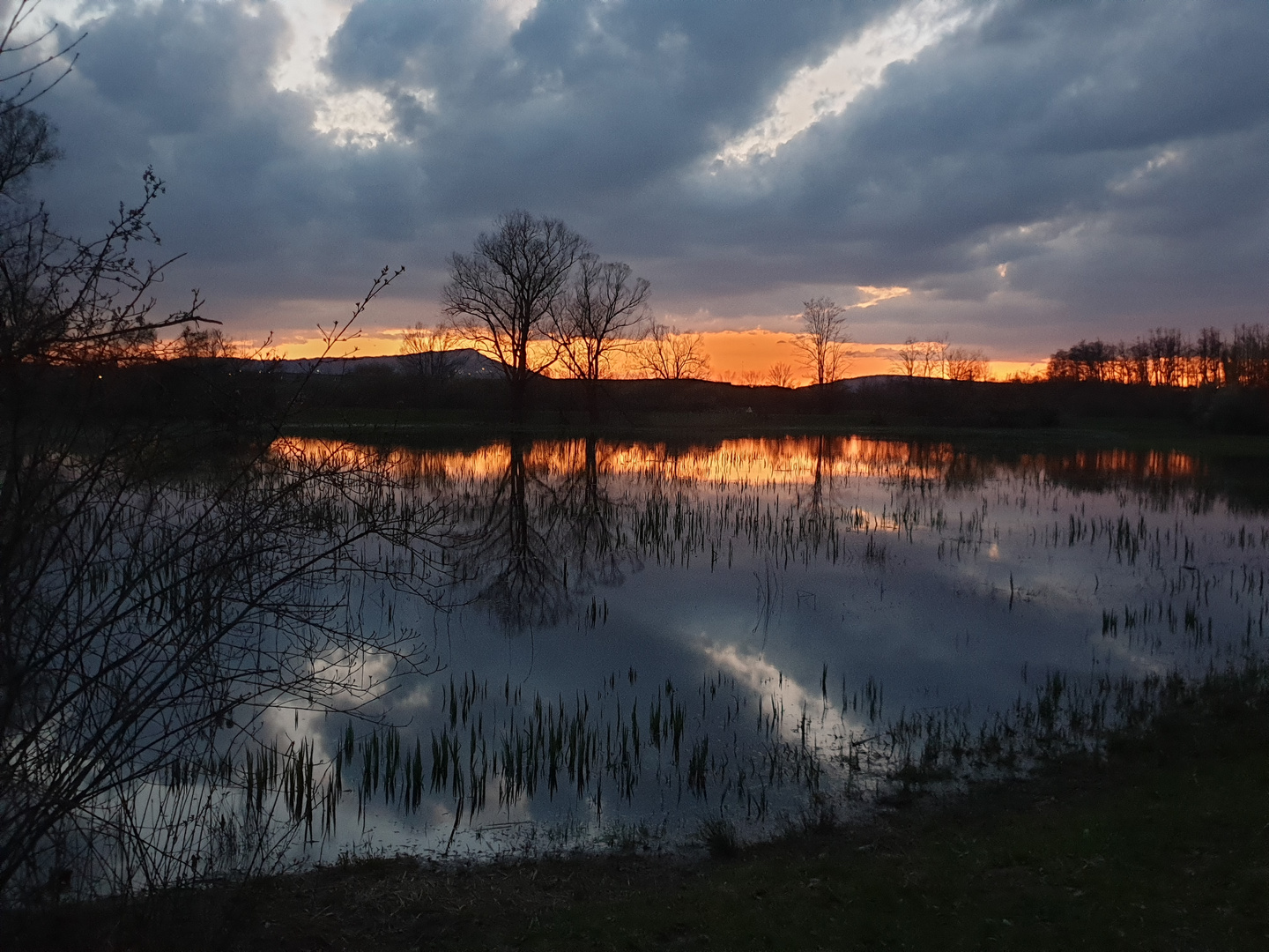 Abendstimmung am Teich