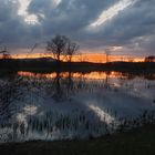 Abendstimmung am Teich