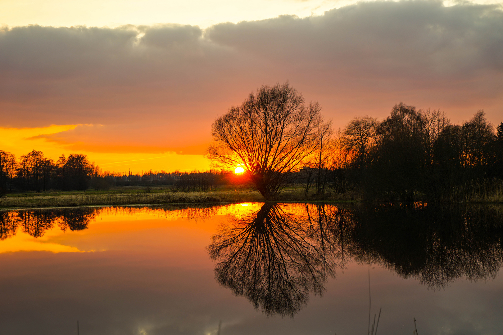 Abendstimmung am Teich