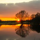 Abendstimmung am Teich