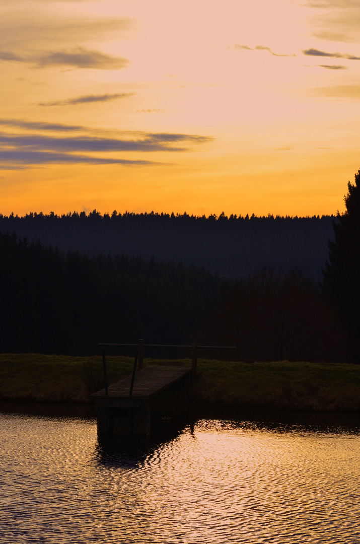 Abendstimmung am Teich