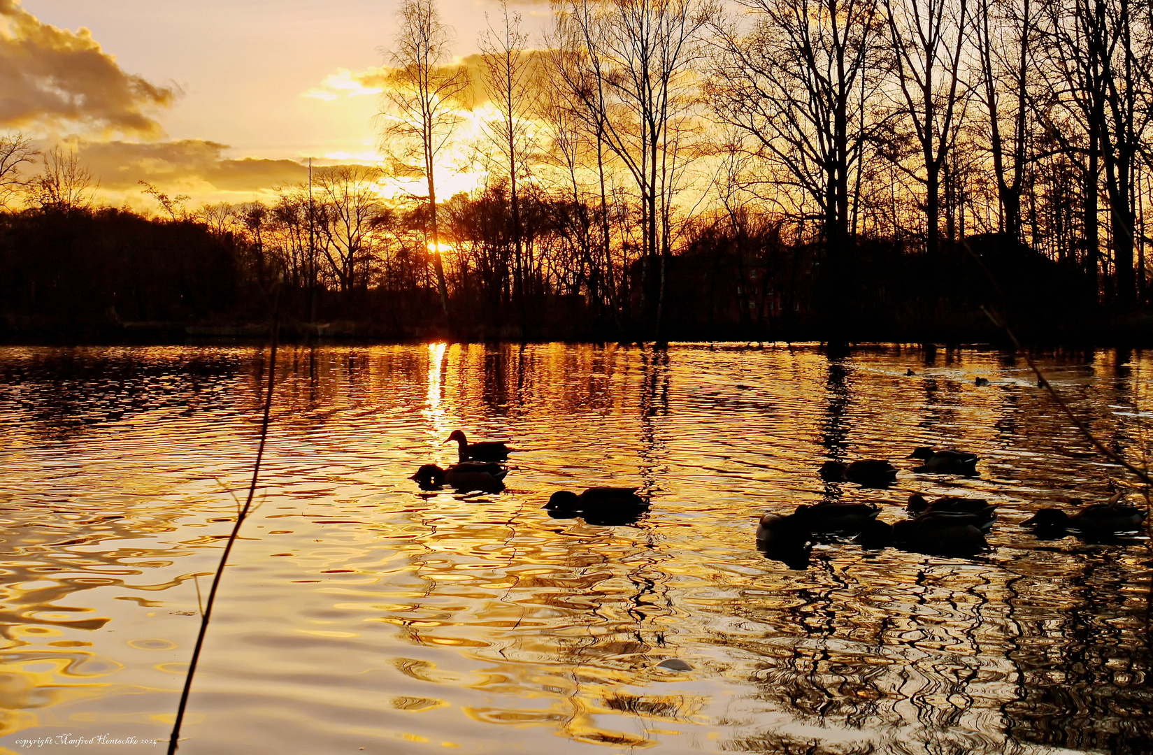 Abendstimmung am Teich