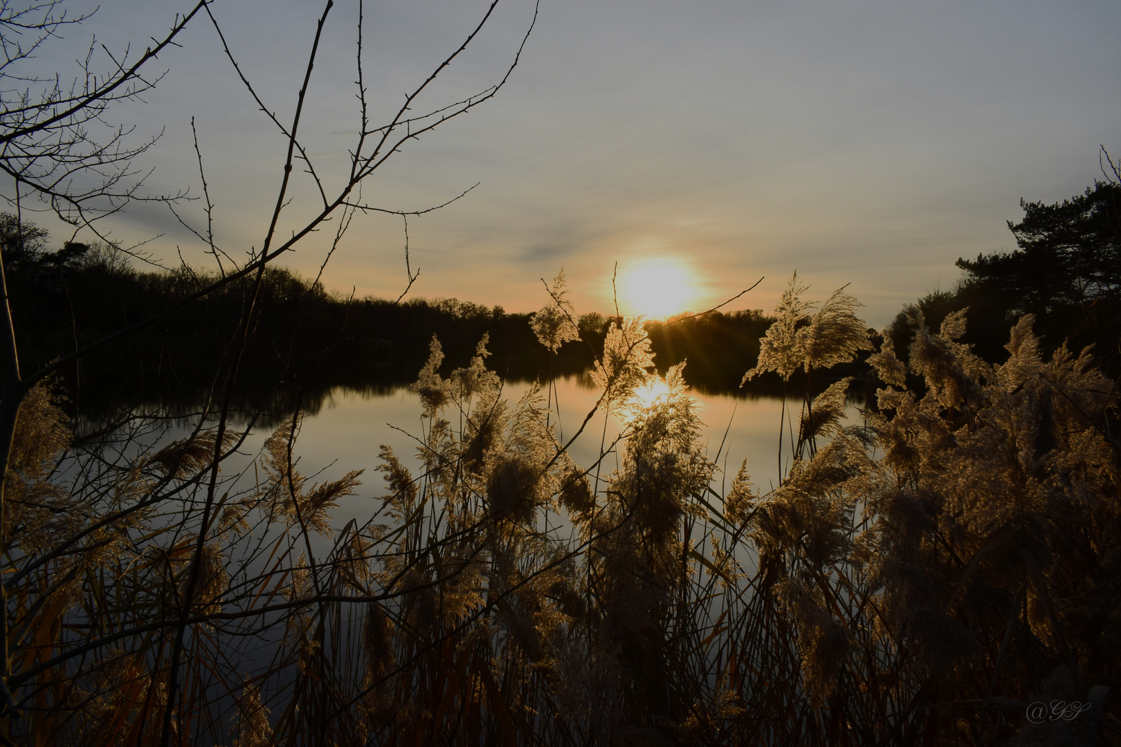 Abendstimmung am Teich