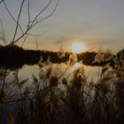 Abendstimmung am Teich