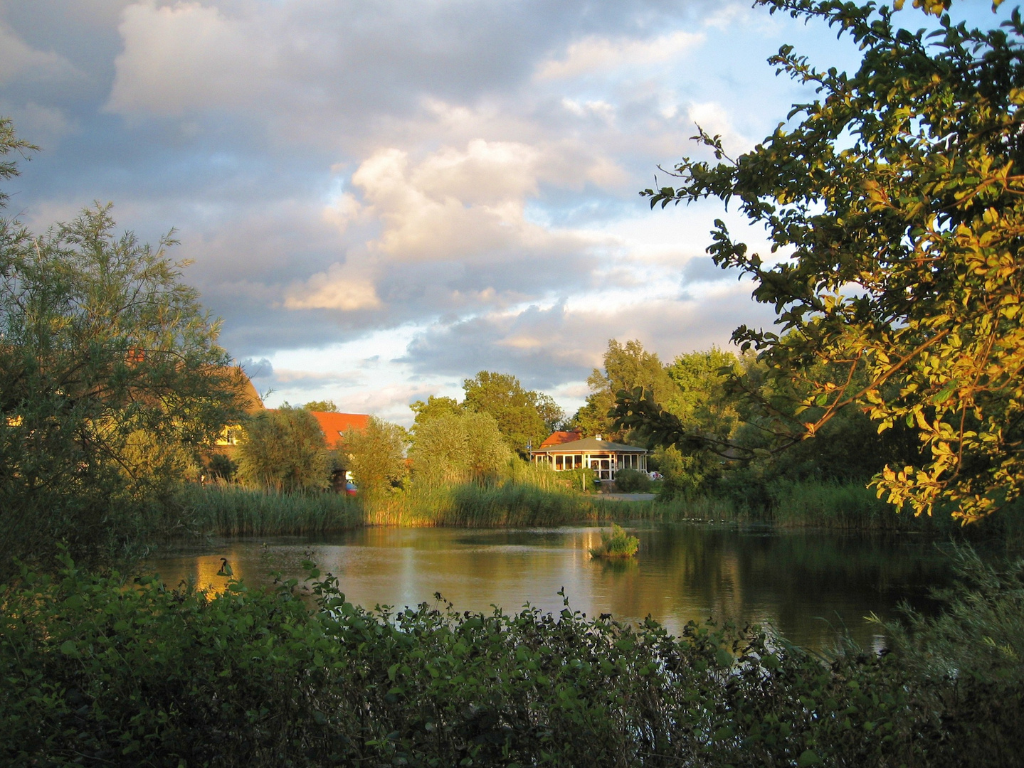 Abendstimmung am Teich