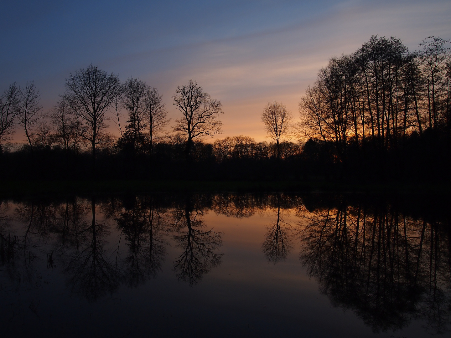 Abendstimmung am Teich