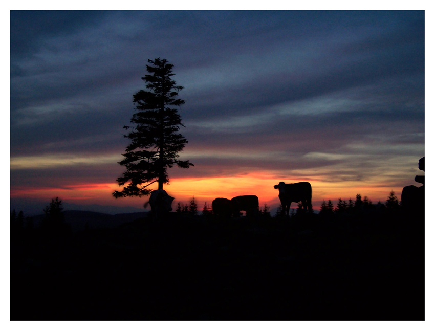 Abendstimmung am Teufelstein