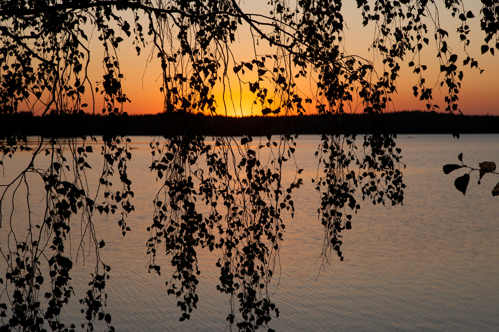 Abendstimmung am Törn