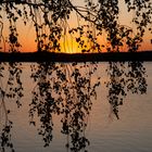 Abendstimmung am Törn