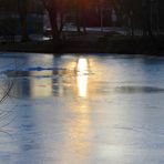 Abendstimmung am Tümpel