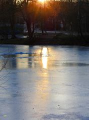 Abendstimmung am Tümpel