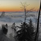 Abendstimmung am Üetliberg