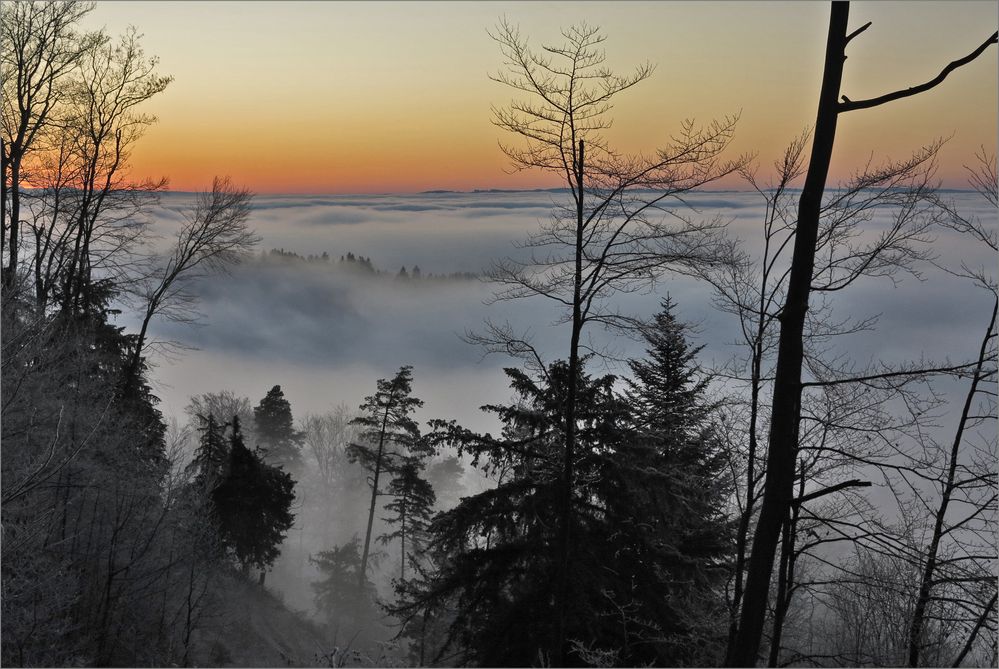 Abendstimmung am Üetliberg